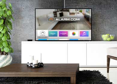 Security that can be watched on your televisions